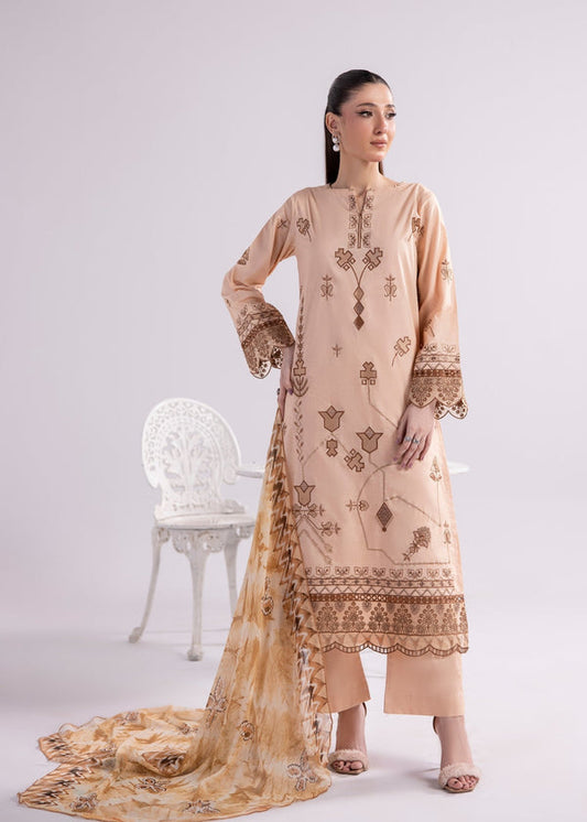 3 Piece Stitched Ladies Dress