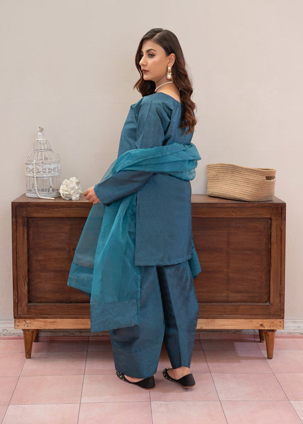 3 Piece Stitched Ladies Dress