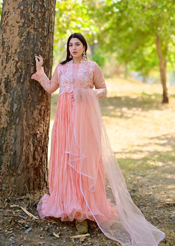 3 Piece Stitched Ladies Dress