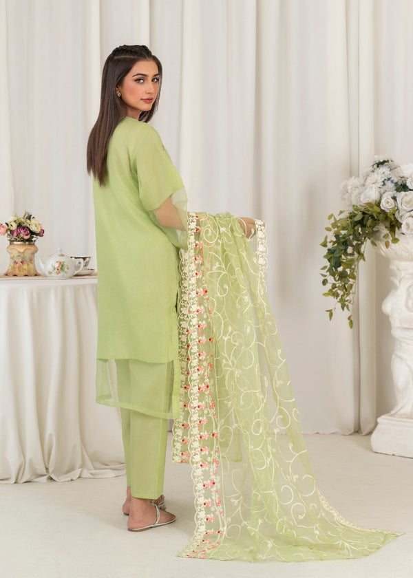 3 Piece Stitched Ladies Dress