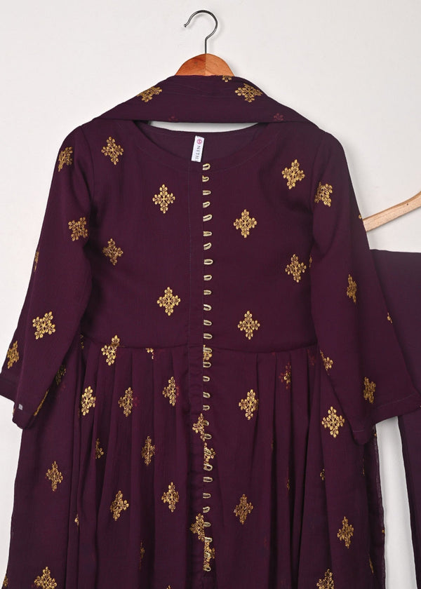 3 Piece Stitched Ladies Dress