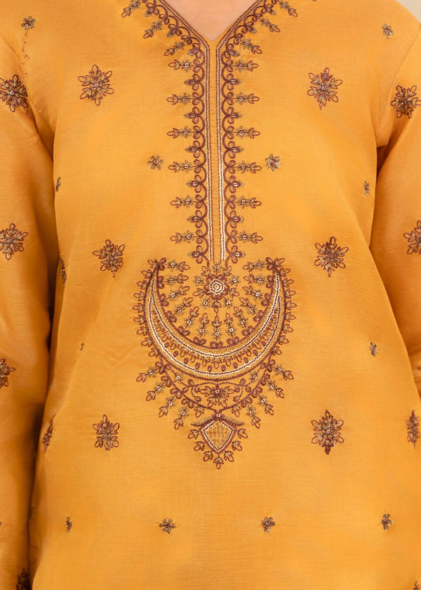 3 Piece Stitched Ladies Dress