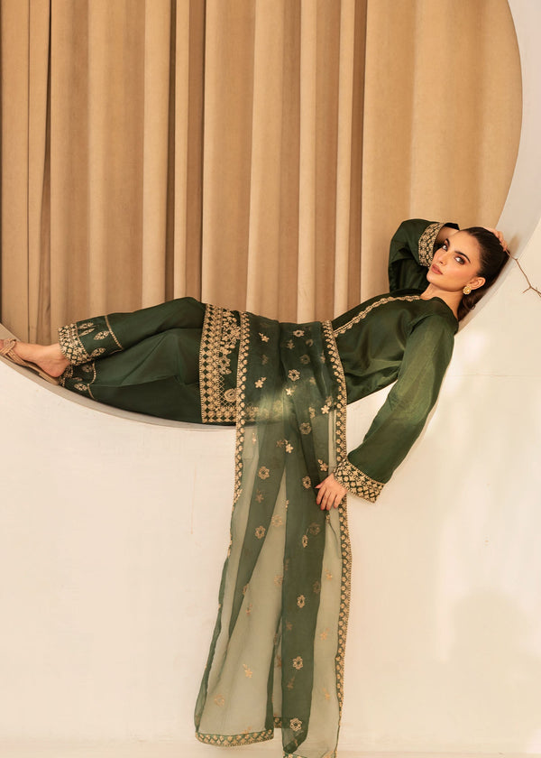 3 Piece Stitched Ladies Dress