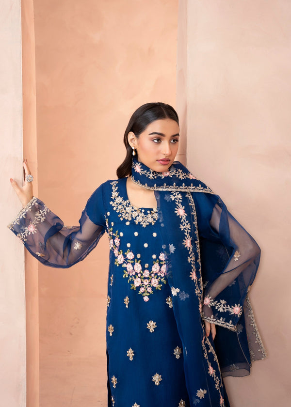 3 Piece Stitched Ladies Dress
