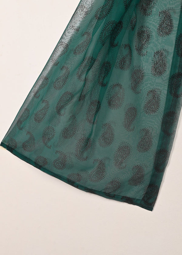 3 Piece Stitched Ladies Dress