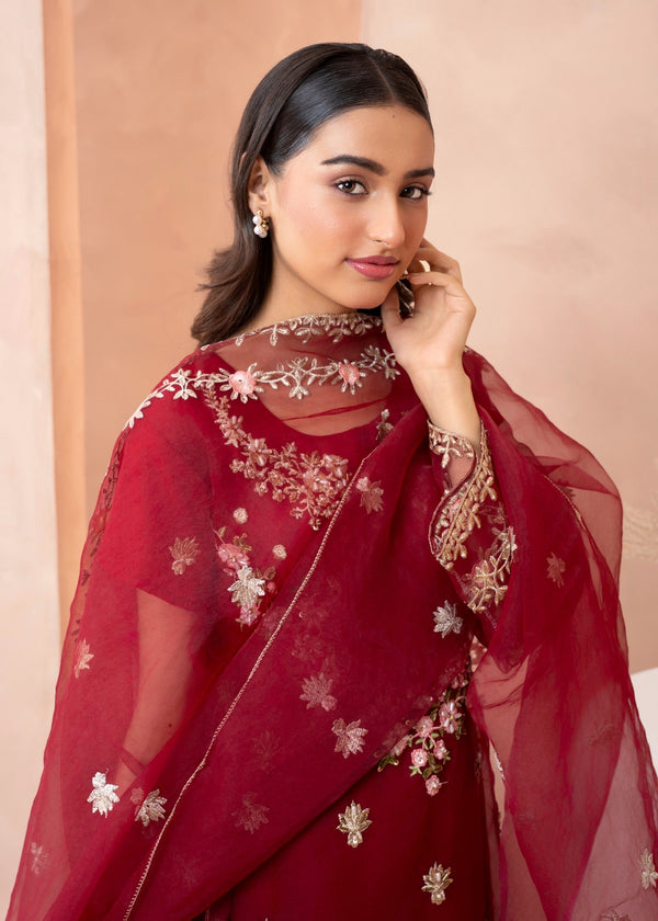 3 Piece Stitched Ladies Dress