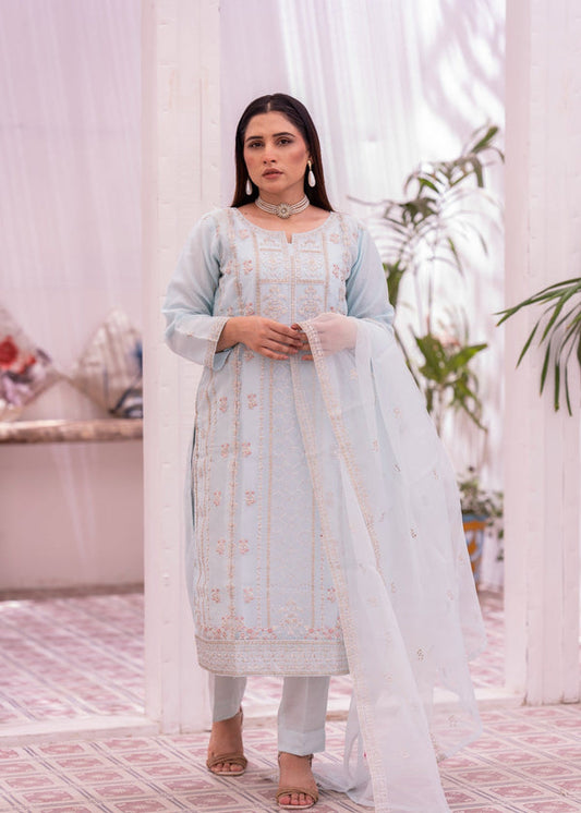 3 Piece Stitched Ladies Dress