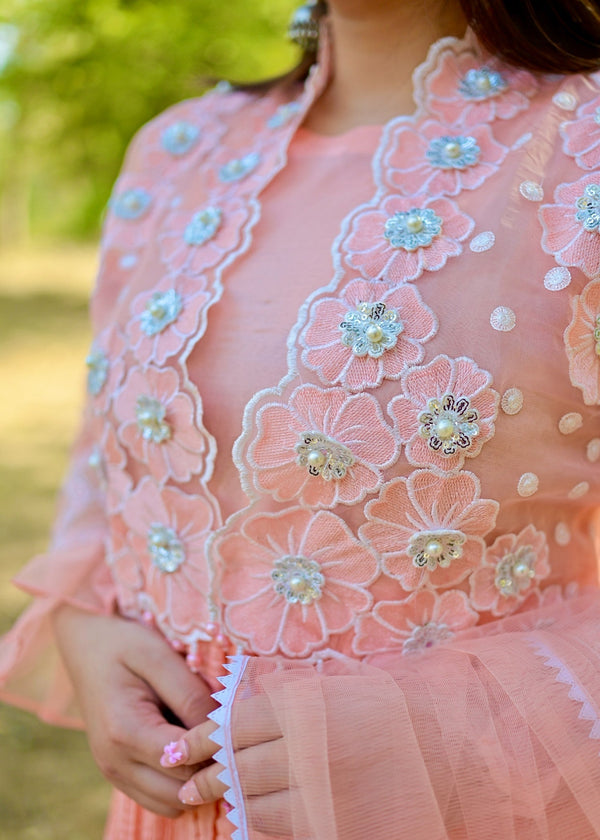 3 Piece Stitched Ladies Dress