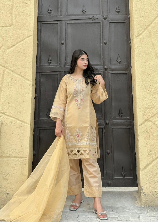 3 Piece Stitched Ladies Dress
