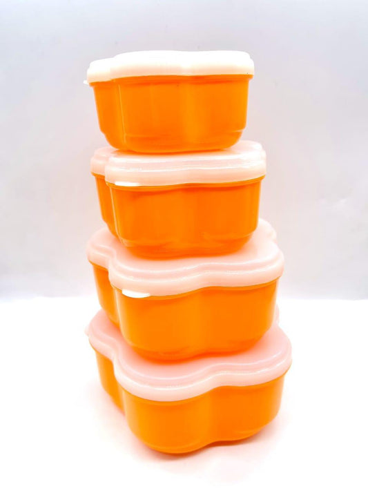 Food Storage Container - Pack Of 4