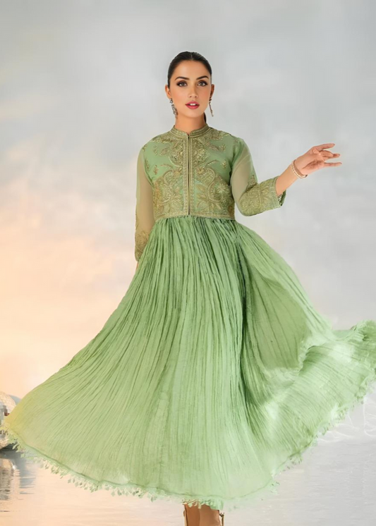 3 Piece Stitched Ladies Dress