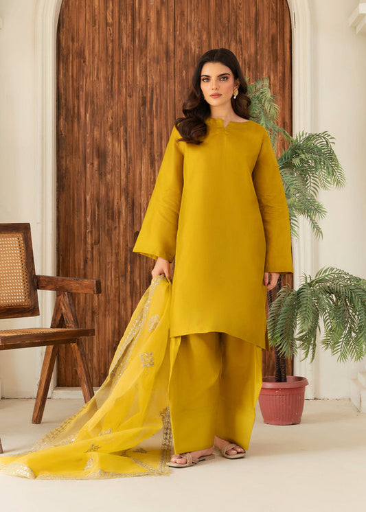 3 Piece Stitched Ladies Dress