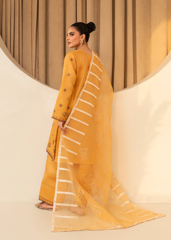 3 Piece Stitched Ladies Dress