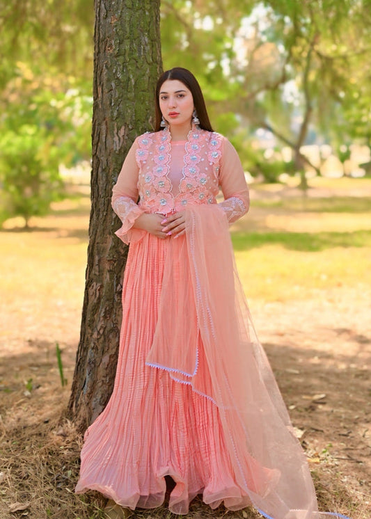 3 Piece Stitched Ladies Dress