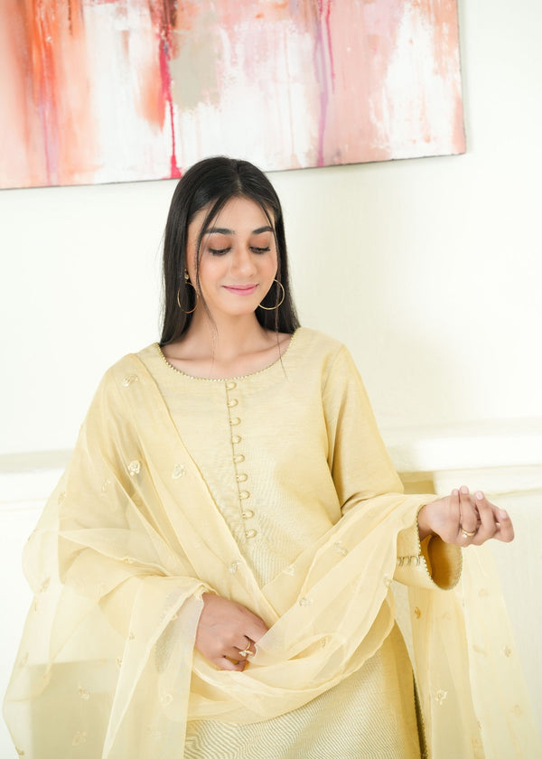 3 Piece Stitched Ladies Dress