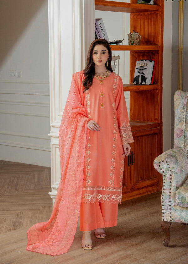 3 Piece Stitched Ladies Dress