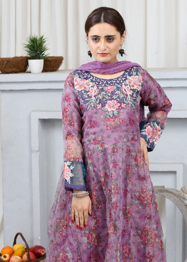 3 Piece Stitched Ladies Dress