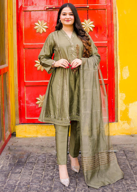 3 Piece Stitched Ladies Dress