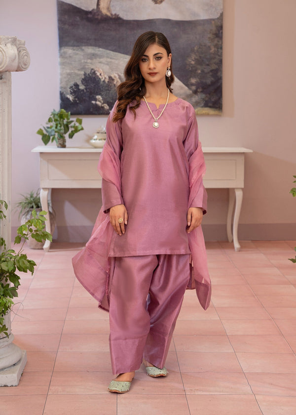 3 Piece Stitched Ladies Dress
