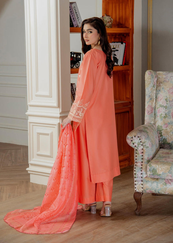 3 Piece Stitched Ladies Dress