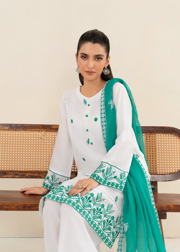 3 Piece Stitched Ladies Dress