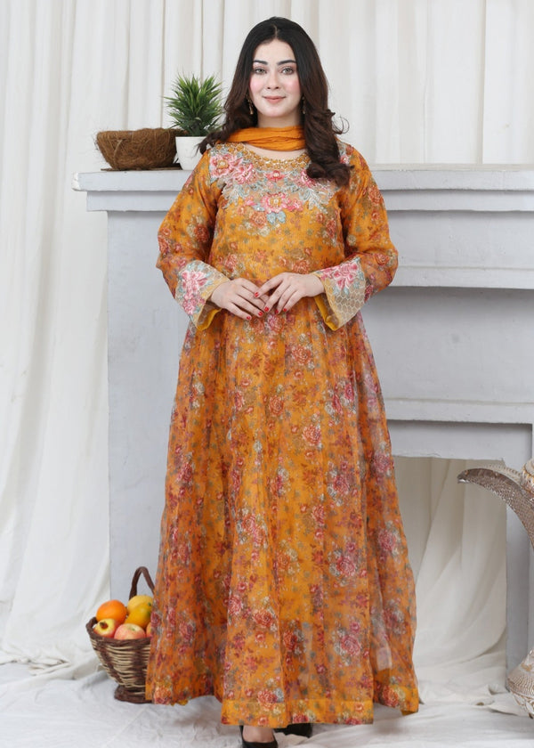 3 Piece Stitched Ladies Dress
