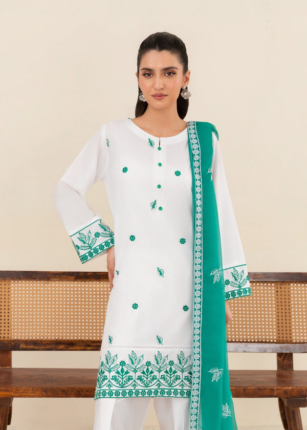 3 Piece Stitched Ladies Dress