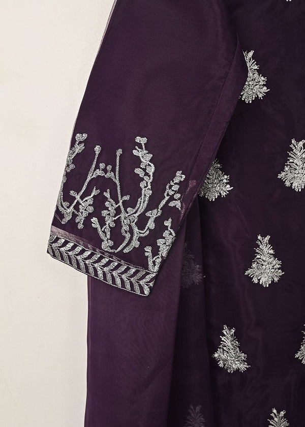 3 Piece Stitched Ladies Dress