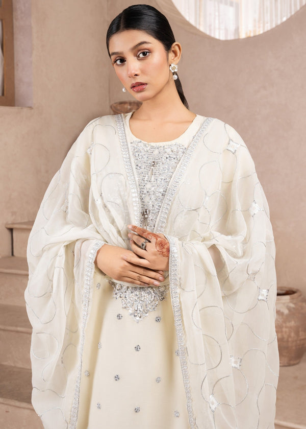 3 Piece Stitched Ladies Dress