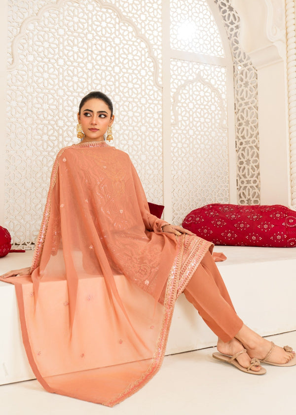 3 Piece Stitched Ladies Dress