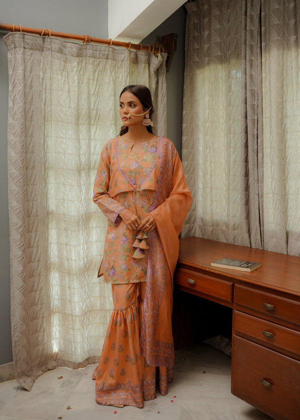 3 Piece Stitched Ladies Dress