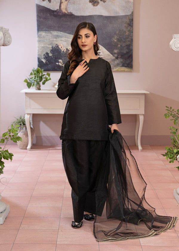 3 Piece Stitched Ladies Dress