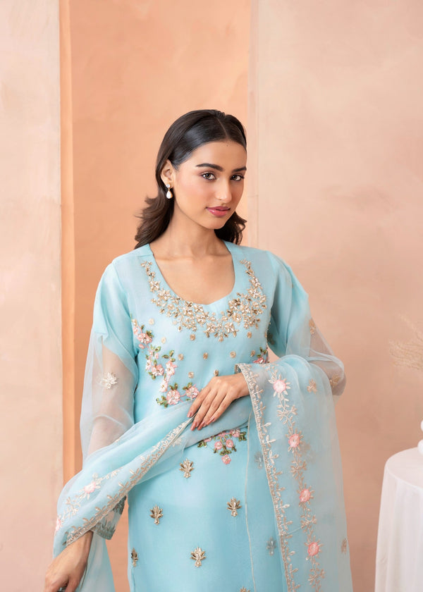 3 Piece Stitched Ladies Dress