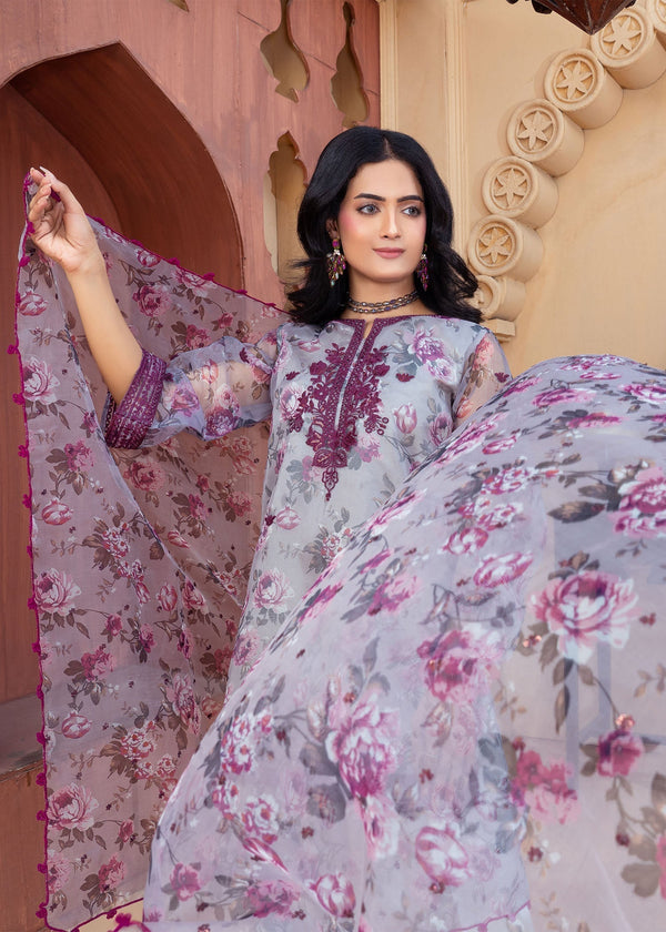 3 Piece Stitched Ladies Dress
