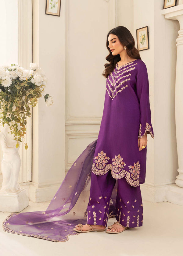 3 Piece Stitched Ladies Dress