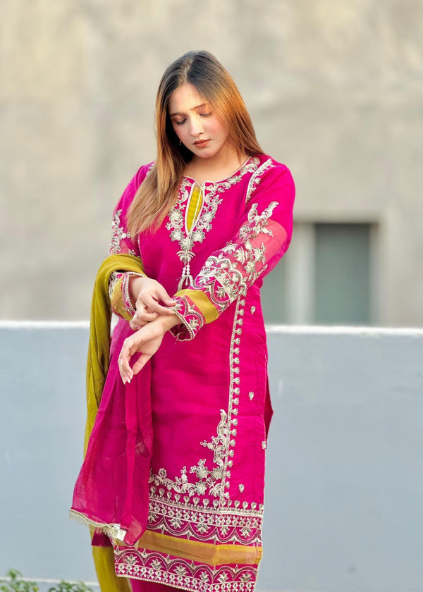 3 Piece Stitched Ladies Dress