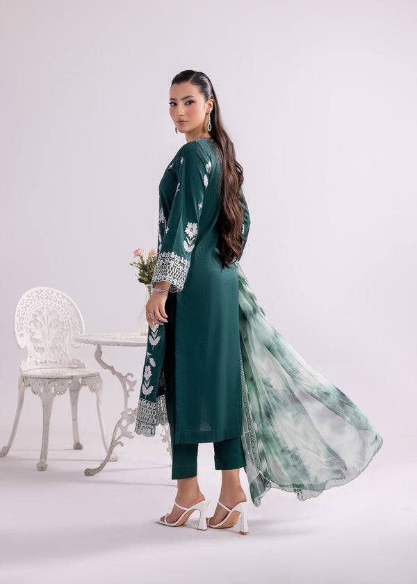 3 Piece Stitched Ladies Dress