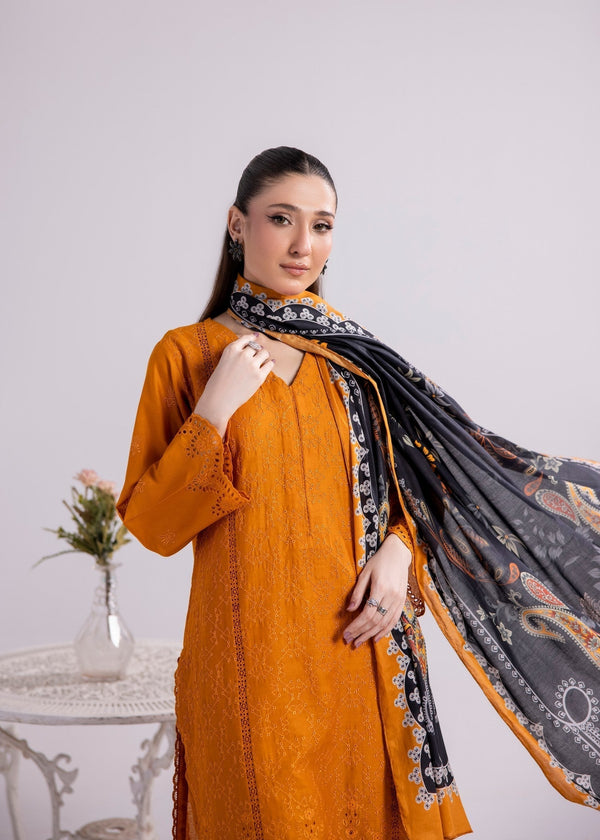 3 Piece Stitched Ladies Dress