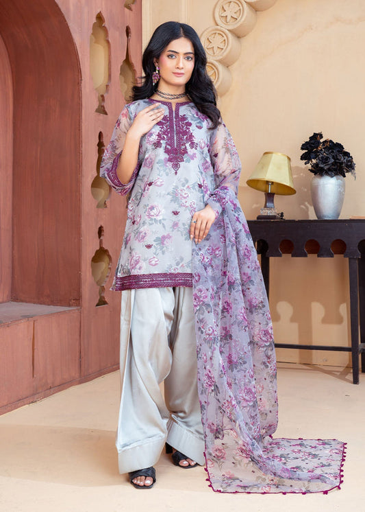 3 Piece Stitched Ladies Dress