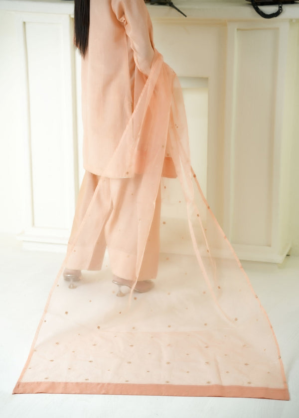 3 Piece Stitched Ladies Dress