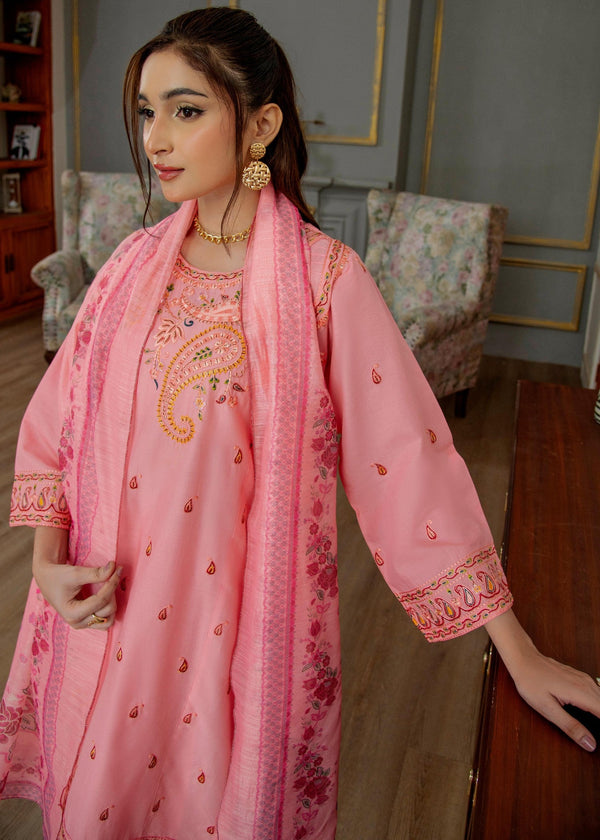3 Piece Stitched Ladies Dress