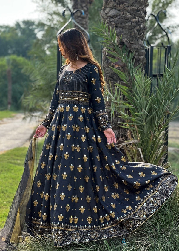 3 Piece Stitched Ladies Dress
