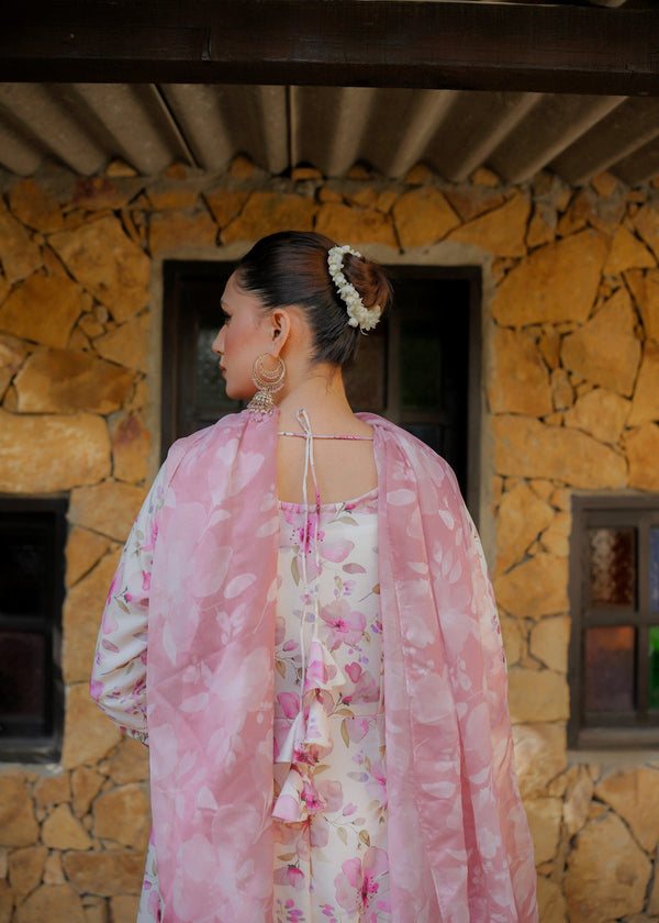 3 Piece Stitched Ladies Dress