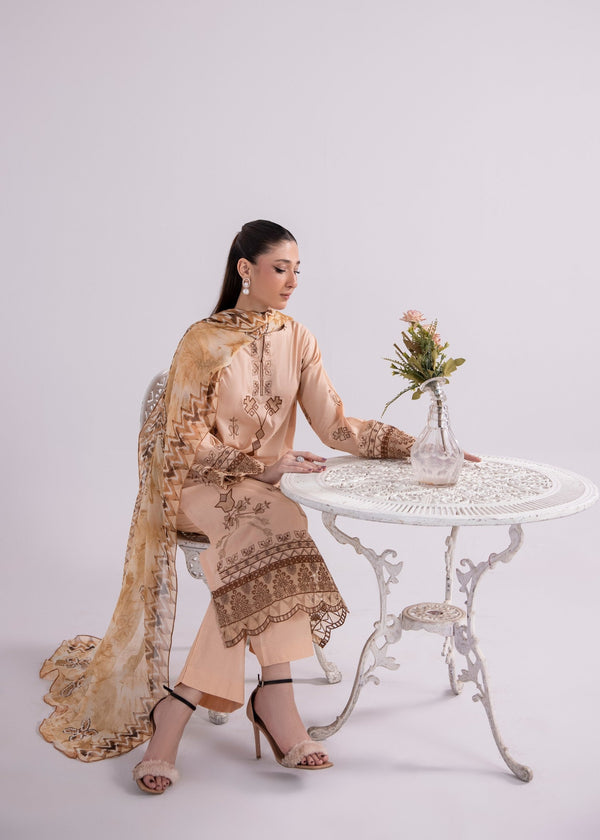 3 Piece Stitched Ladies Dress