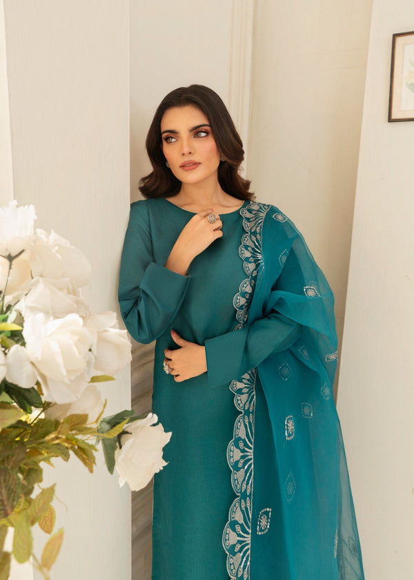 3 Piece Stitched Ladies Dress