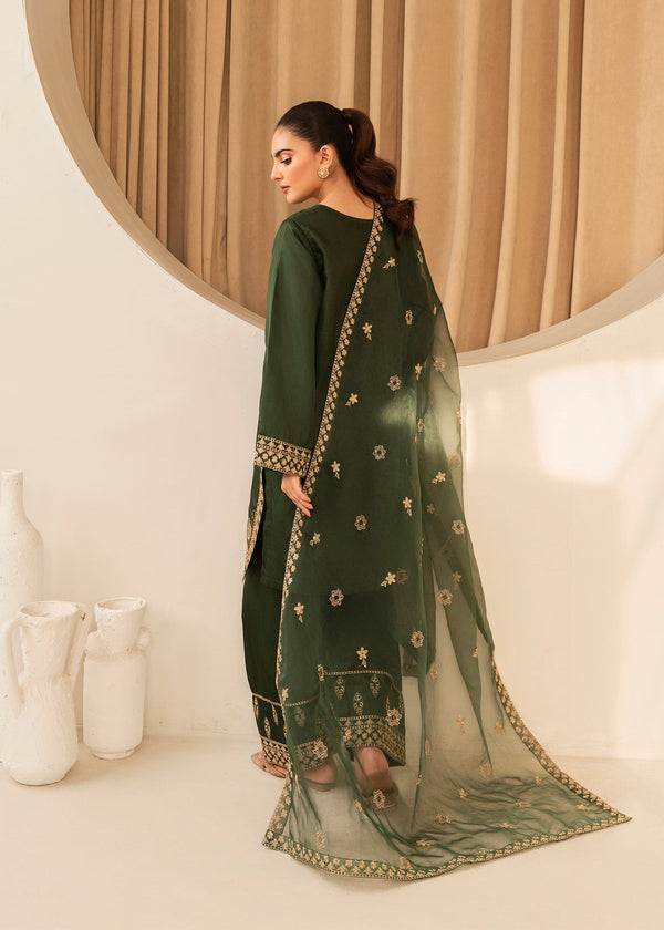 3 Piece Stitched Ladies Dress