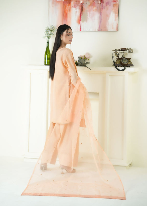 3 Piece Stitched Ladies Dress