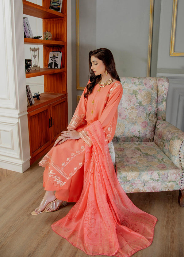 3 Piece Stitched Ladies Dress