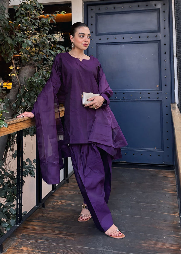 3 Piece Stitched Ladies Dress