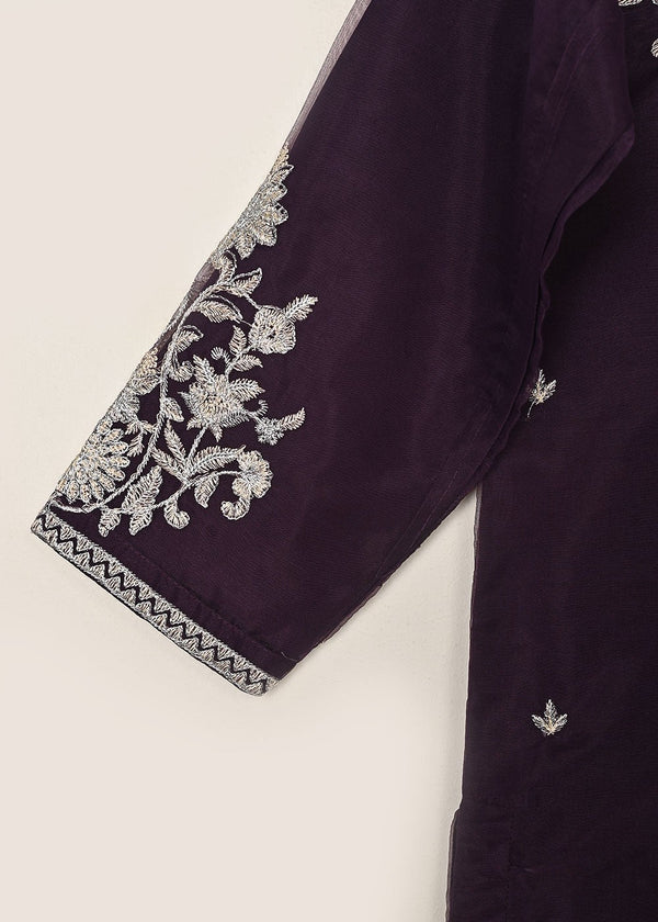 3 Piece Stitched Ladies Dress